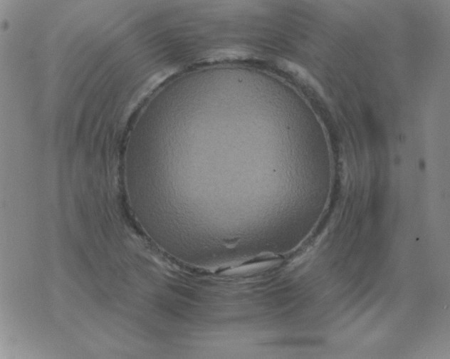 X0000075921217200610062159