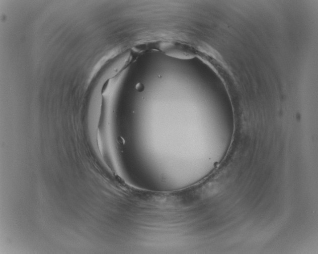 X0000075921218200610062159