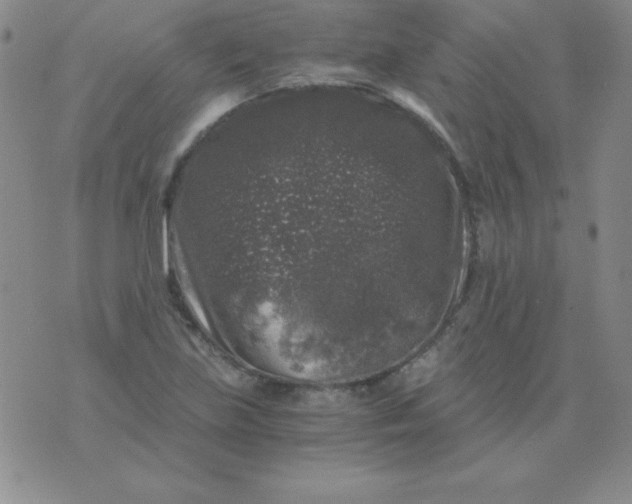 X0000075921219200610062159