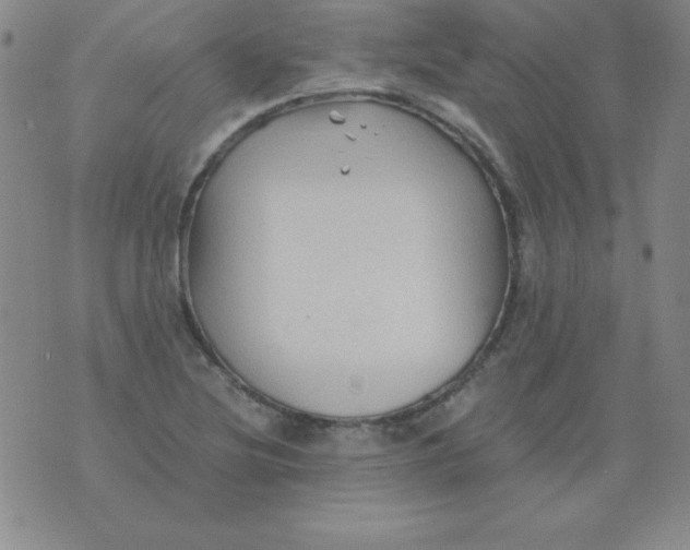 X0000075921220200610062159