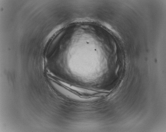 X0000075921221200610062159