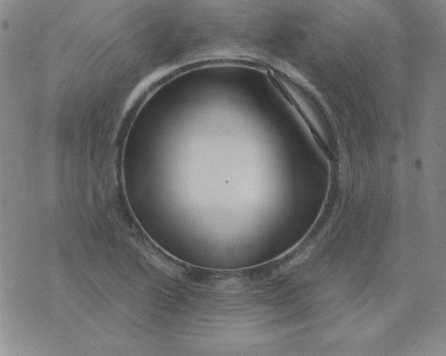 X0000075921222200610062159