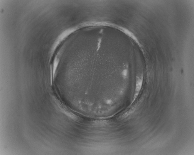 X0000075921223200610062159