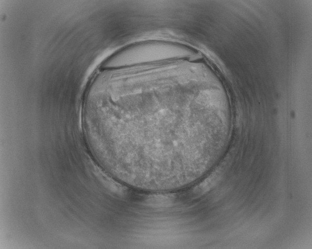 X0000075921224200610062159