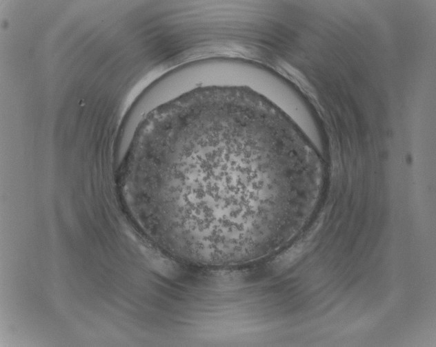 X0000075921226200610062159