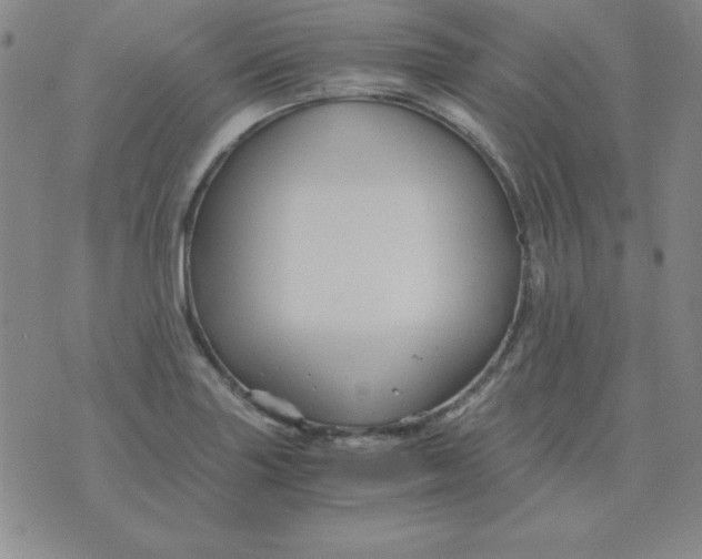 X0000075921227200610062159