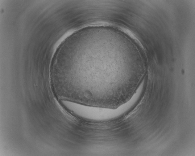 X0000075921229200610062159