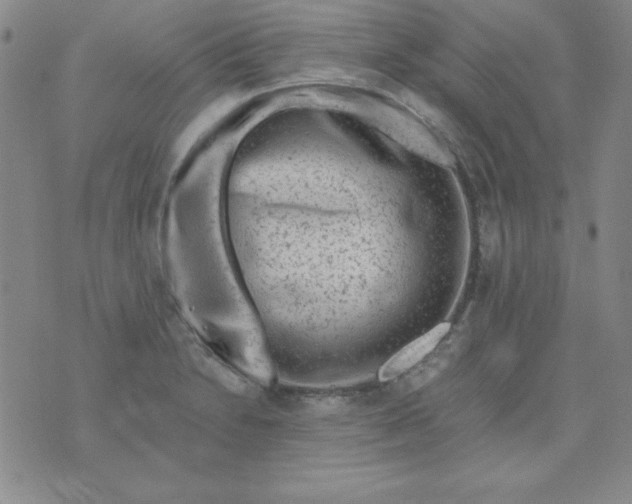 X0000075921230200610062159