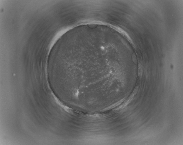 X0000075921231200610062159