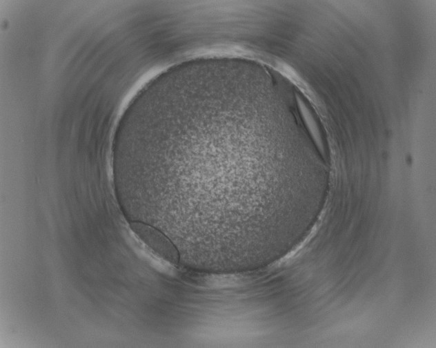 X0000075921232200610062159