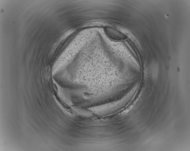 X0000075921233200610062159