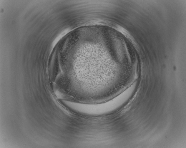 X0000075921234200610062159