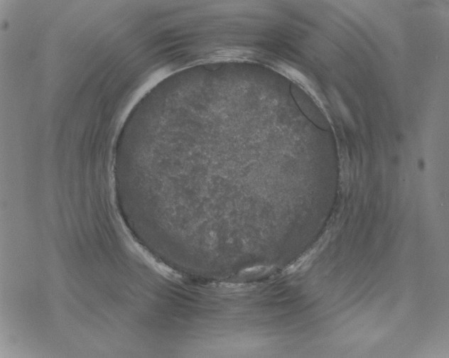 X0000075921235200610062159