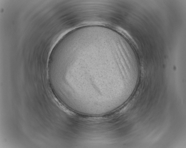 X0000075921236200610062159