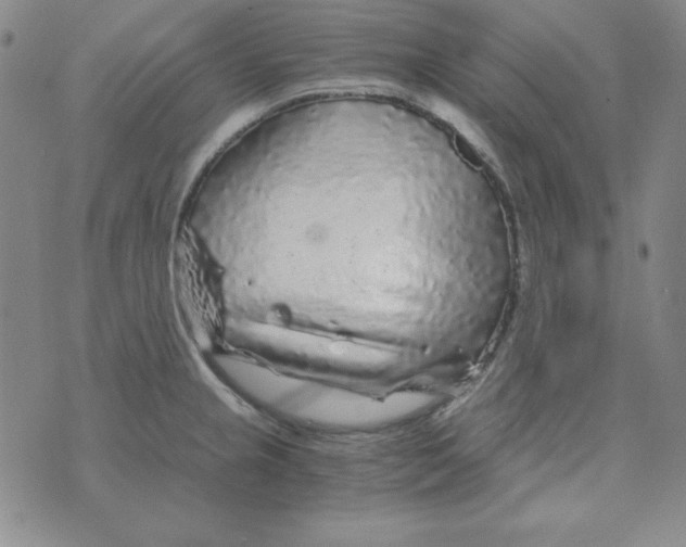 X0000075921237200610062159