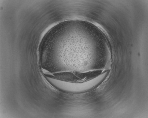 X0000075921238200610062200