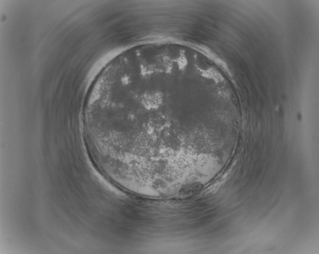 X0000075921239200610062200