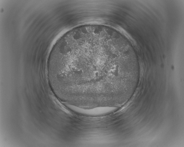 X0000075921240200610062200