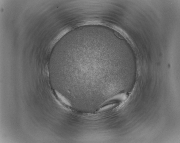 X0000075921241200610062200