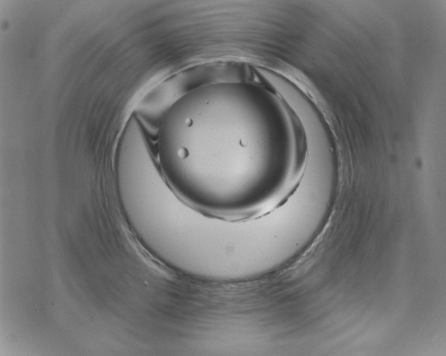 X0000075921242200610062200