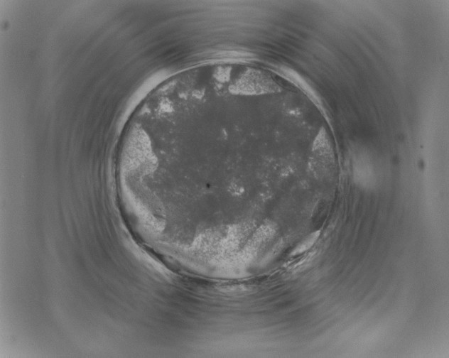 X0000075921243200610062200