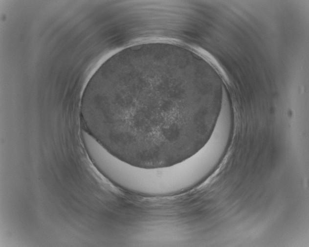 X0000075921244200610062200