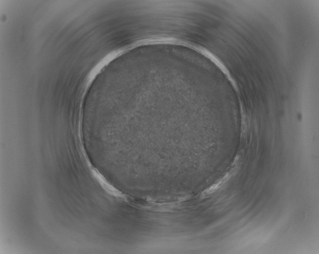 X0000075921245200610062200