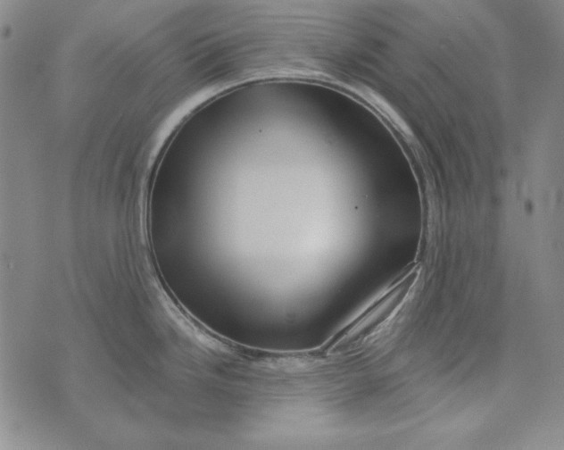 X0000075921246200610062200