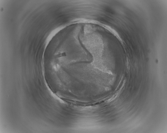 X0000075921247200610062200