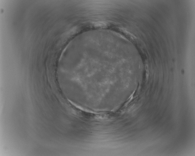 X0000075921249200610062159