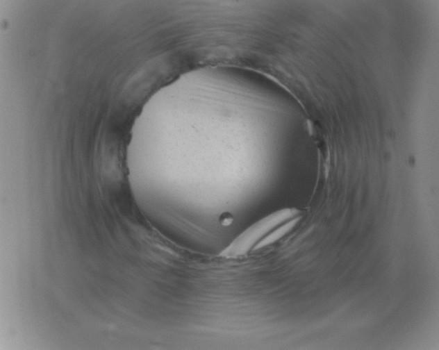 X0000075921250200610062159