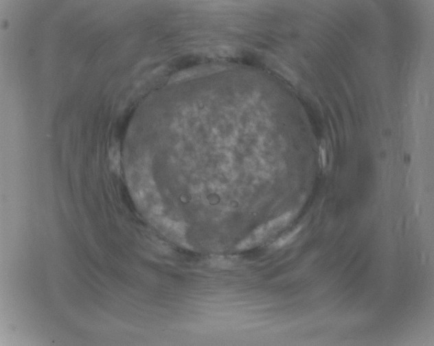 X0000075921251200610062159