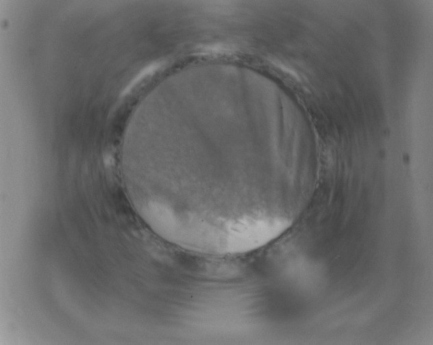 X0000075921254200610062159