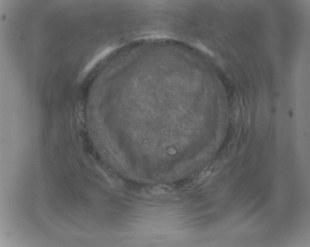 X0000075921255200610062159