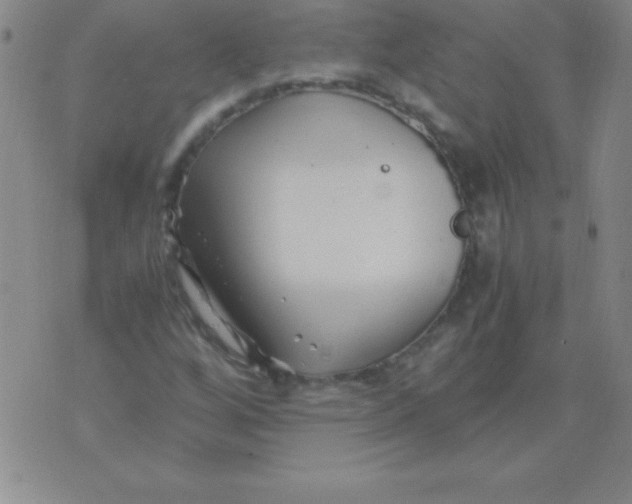 X0000075921256200610062159