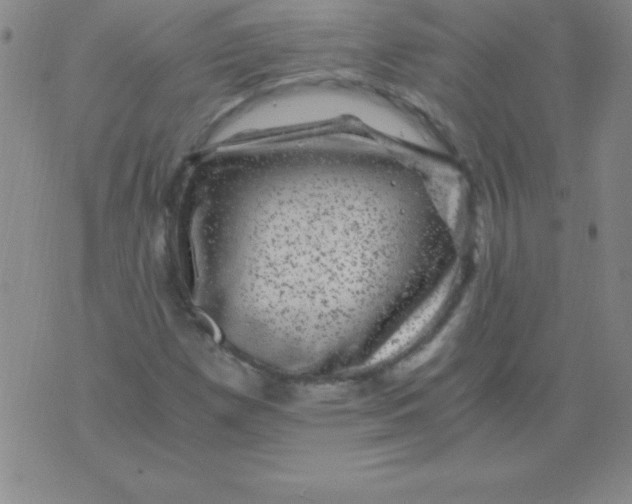 X0000075921257200610062159