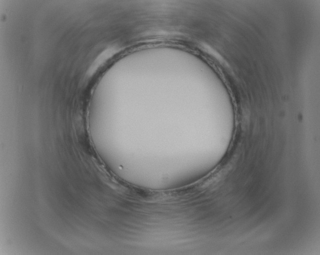 X0000075921259200610062159