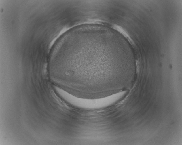 X0000075921260200610062159