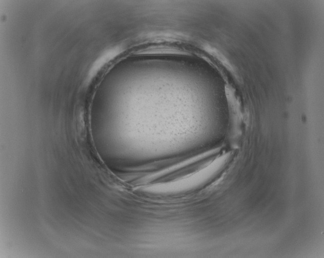 X0000075921261200610062159