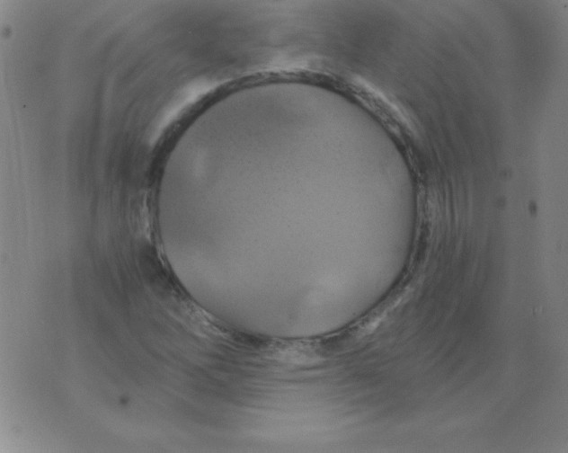 X0000075921262200610062159