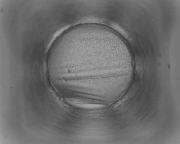 X0000075921264200610062159