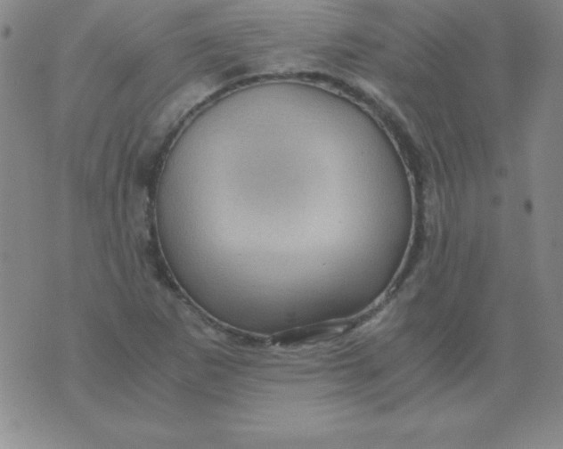 X0000075921265200610062159