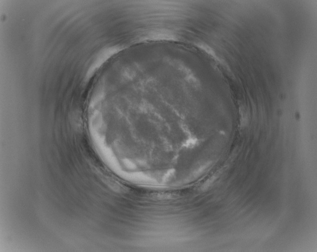 X0000075921266200610062159