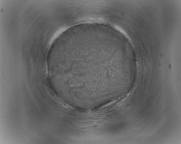 X0000075921267200610062159