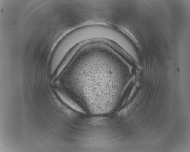 X0000075921268200610062158