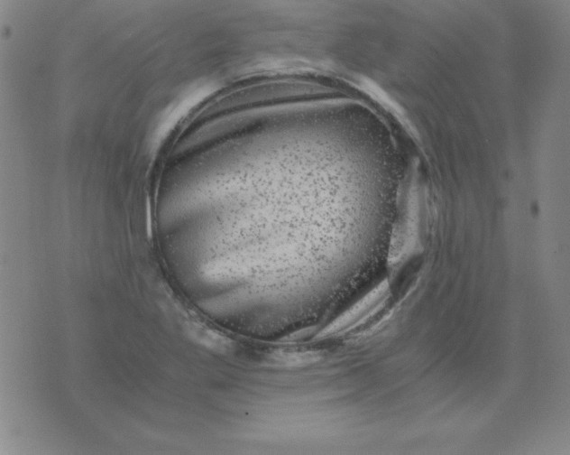 X0000075921269200610062158