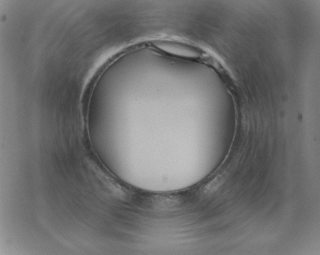 X0000075921270200610062158