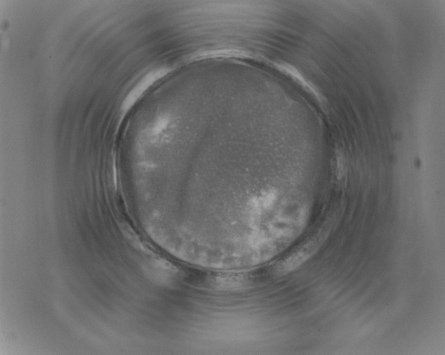 X0000075921274200610062158