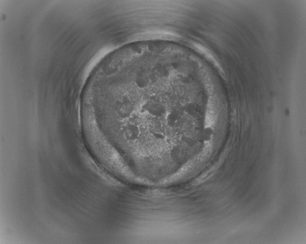 X0000075921275200610062158