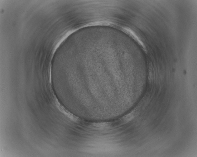 X0000075921276200610062158